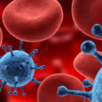Virus ebola