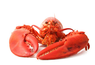 AStice crostacei