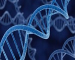 DNA genoma sintetico