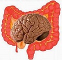 Intestino malattie croniche