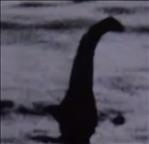 Loch Ness Nessie