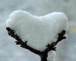 Cuore Ghiaccio