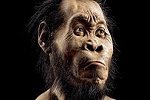 Homo Naledi