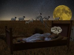 Insonnia