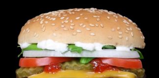 Panino