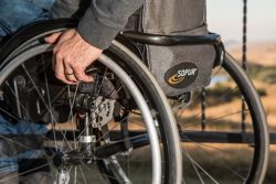 Paraplegia