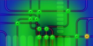 microchip