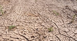 Riscaldamento globale
