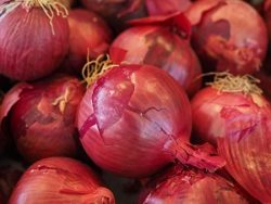 Cipolle rosse