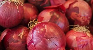 Cipolle rosse
