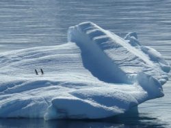 Antartide iceberg