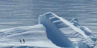 Antartide iceberg