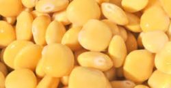 Lupini