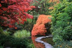 Giardino consigli