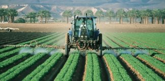 Pesticid dieta bio
