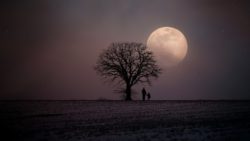 Solitudine se scelta fa bene