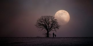 Solitudine se scelta fa bene