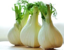 Finocchio dieta