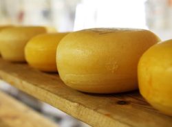 formaggio ritirato