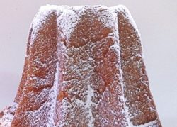 Pandoro insetti