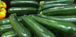 Zucchina intossicazione alimentare