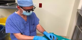 Bambino affetto da idrocefalo chiede al chirurgo di operare prima il suo orsetto
