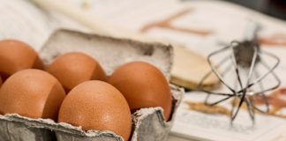 uova salmonella