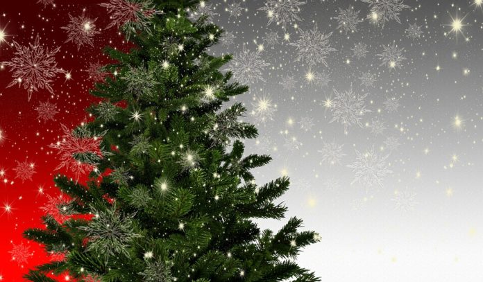 Albero di Natale ecologia inquinamento