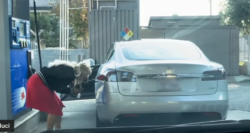 Donna benzina auto elettrica