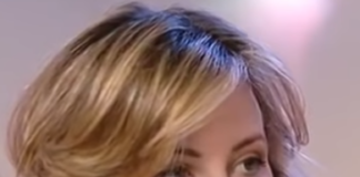 Giulia Grillo panetone M5s pandoro Pd