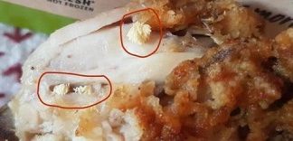 Vermi pollo fast food