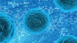 Microbioma umano