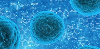 Microbioma umano