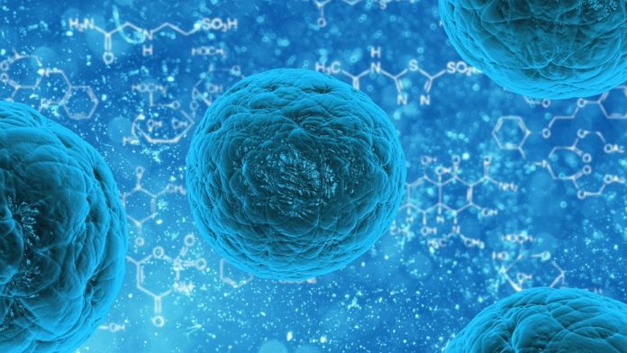 Microbioma umano