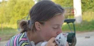 Ragazza carezza gato randagio