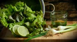 Insalata lotti ritirati