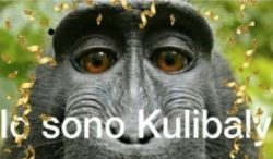 Koulibaly cartolina razzismo