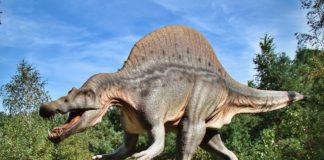 Dinosauri Dna