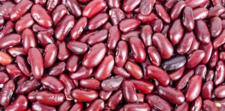 Fagioli principio nutraceutico andropausa