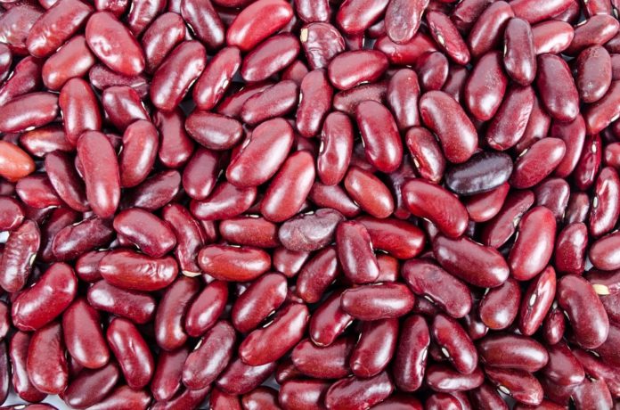 Fagioli principio nutraceutico andropausa