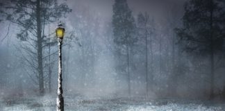 Bambino abbadonato foresta sotto zero