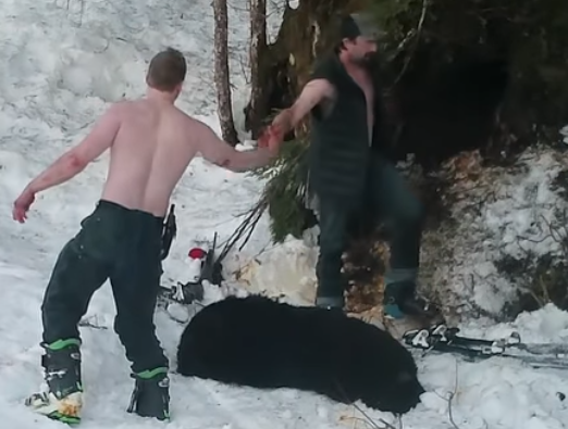 Cacciatori uccidono orso e cuccioli in letargo