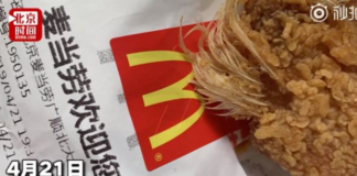 Scoperta rivoltante nel piatto fast food