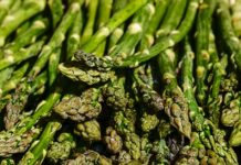 Asparagi cattivo odore pipì