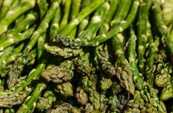 Asparagi cattivo odore pipì
