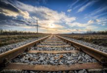 Cane veglia corpo padrone sui binari del treno