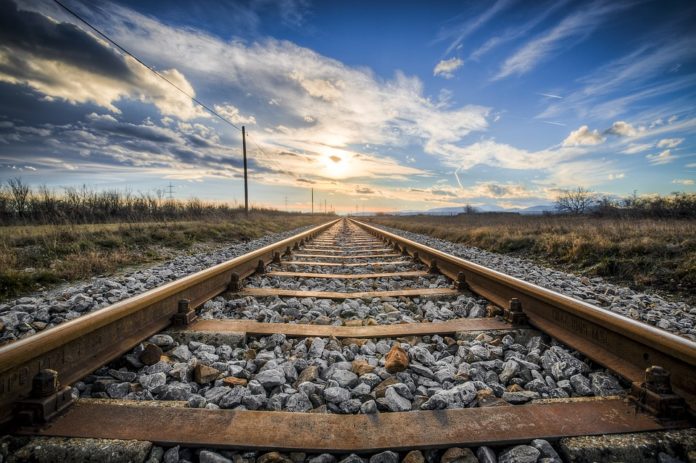 Cane veglia corpo padrone sui binari del treno