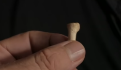 Scoperta nuova specie umana