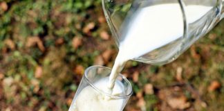 Latte intolleranza lattosio