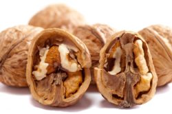 Noci prevenzione tumore al seno
